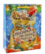 Пакет "Посылка от Деда Мороза" (12х16 см) - фото 12902