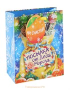 Пакет "Посылка от Деда Мороза" (18х23 см) - фото 12913