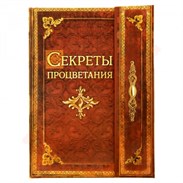 Ежедневник "Секреты процветания" 84 листа 109703 - фото 15364