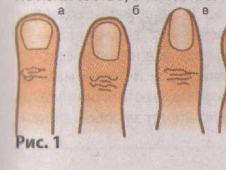 Значение длины, формы мизинца: хиромантия пальца Меркурия Тонкие пальцы рук у женщин